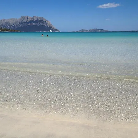 Modern Minimalist * Olbia